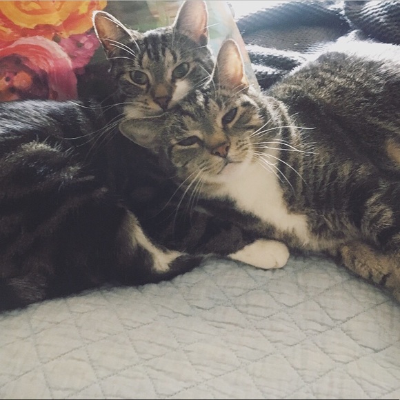 Meet your Posher, Jenna - Picture 4 of 7